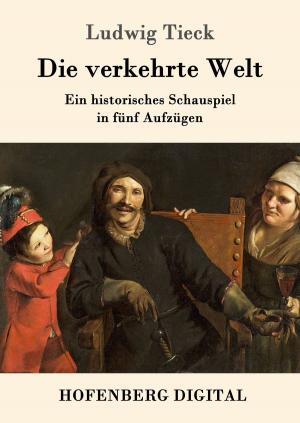 Cover of the book Die verkehrte Welt by Theodor Storm