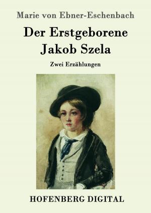 Cover of the book Der Erstgeborene / Jakob Szela by Georg Simmel
