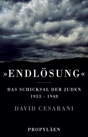 Cover of the book "Endlösung" by Oliver Pötzsch