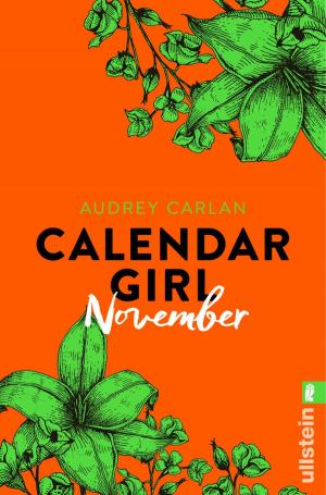 Cover of the book Calendar Girl November by Carol Jean