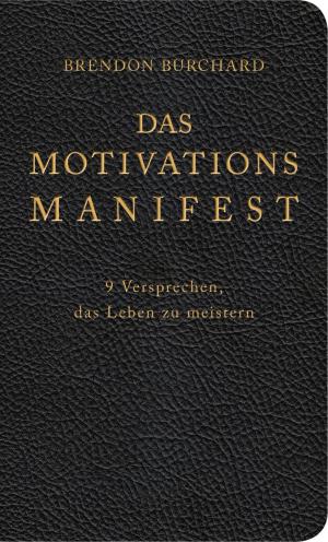 Book cover of Das MotivationsManifest