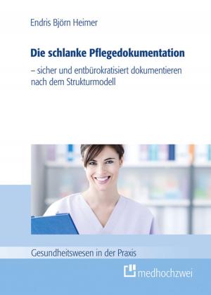 Cover of the book Die schlanke Pflegedokumentation by Michael Monzer