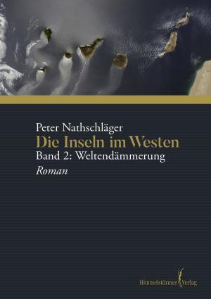 Cover of the book Die Inseln im Westen by Martin M. Falken, Kai Steiner, Paul Senftenberg, Manuel Sandrine, Marc Förster, Uwe Strauß
