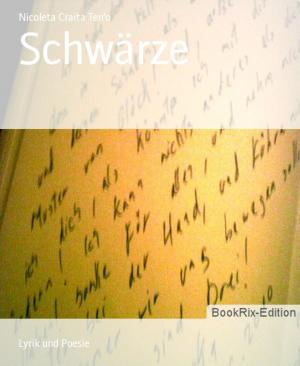 Cover of the book Schwärze by Anand Bose