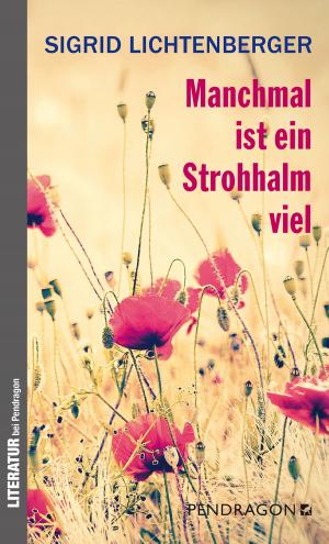 Cover of the book Manchmal ist ein Strohhalm viel by Sigrid Lichtenberger