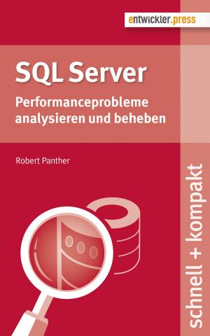Cover of the book SQL Server by Manuel Meyer