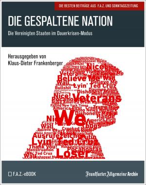 Book cover of Die gespaltene Nation