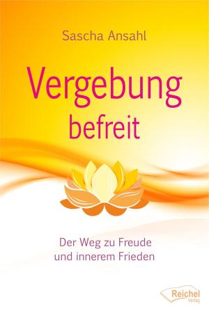 Cover of the book Vergebung befreit by Stephan Berndt