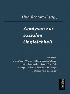 Book cover of Analysen zur sozialen Ungleichheit