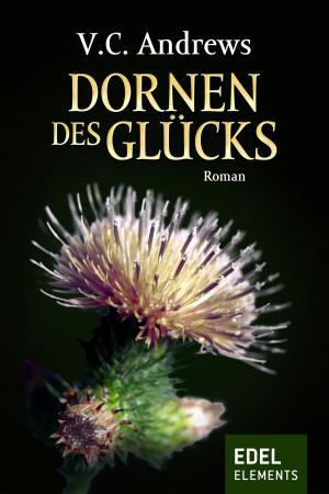Book cover of Dornen des Glücks