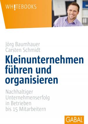 Cover of the book Kleinunternehmen führen und organisieren by Harald Scheerer