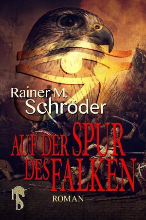 Cover of the book Auf der Spur des Falken by Jörg Kastner