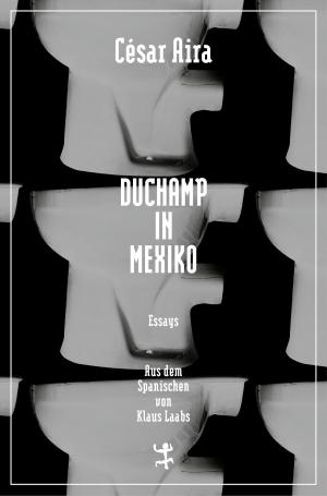 Cover of the book Duchamp in Mexiko by Max Weber