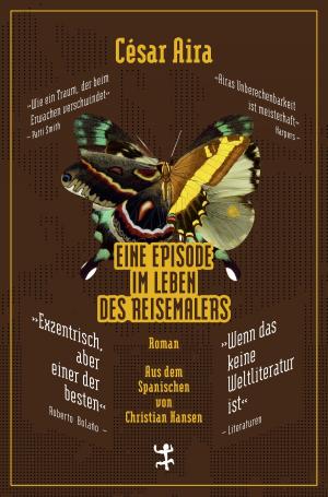 Cover of the book Eine Episode im Leben des Reisemalers by Giorgio Agamben, Andreas Hiepko