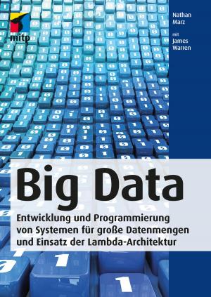 Cover of the book Big Data by Andreas Werner