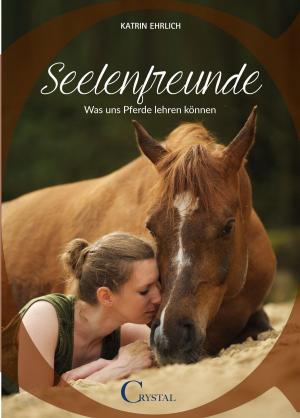 Cover of the book Seelenfreunde by Connie Peck