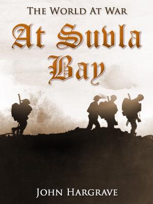 Cover of the book At Suvla Bay by R. M. Ballantyne