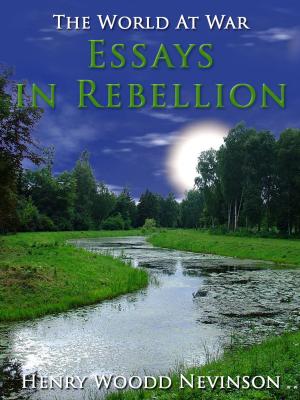 Cover of the book Essays in Rebellion by Joachim Ringelnatz