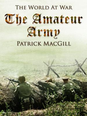 Cover of the book The Amateur Army by Josephine Daskam Bacon