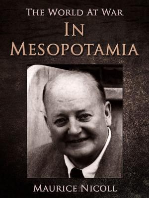 Cover of the book In Mesopotamia by Rae Salvetti