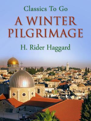 Book cover of A Winter Pilgrimage