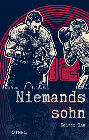 Cover of the book Niemandssohn by Paul Kupperberg