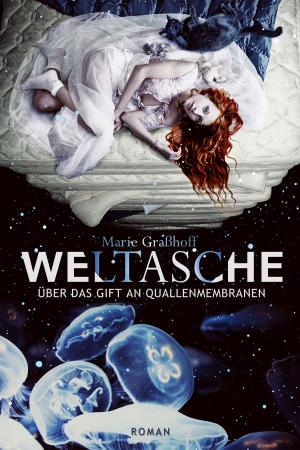Cover of the book Weltasche by Nina MacKay