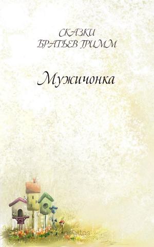 Cover of the book Мужичонка by Шильдер, Николай