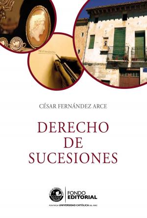 Cover of the book Derecho de sucesiones by Pedro Guibovich