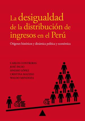 Book cover of La desigualdad de la distribución de ingresos en el Perú
