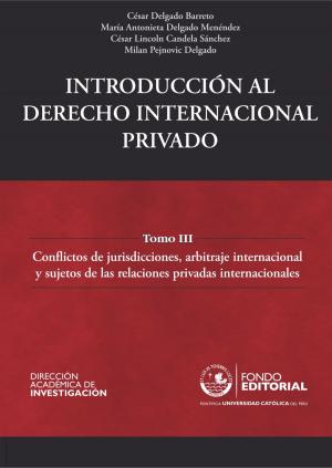 Cover of the book Introducción al derecho internacional privado by Antonio Zapata