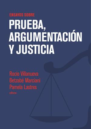 Cover of the book Ensayos sobre prueba, argumentación y justicia by Pablo Ortemberg