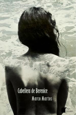 bigCover of the book La cabellera de Berenice by 