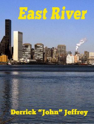 Book cover of East River