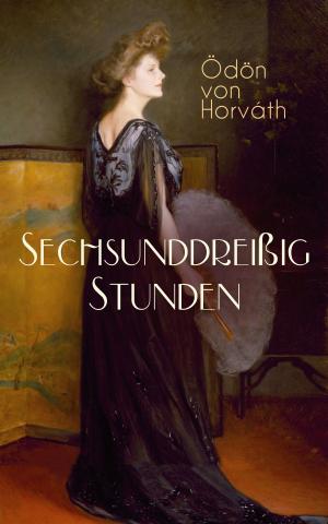 Cover of the book Sechsunddreißig Stunden by Upton Sinclair