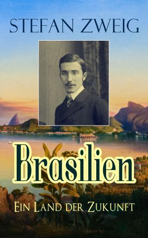 Cover of the book Brasilien - Ein Land der Zukunft by Olivier Mesnier