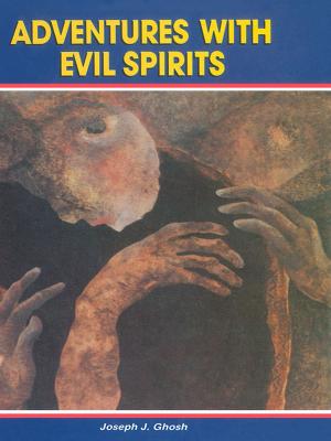 Cover of the book Adventures With Evil Spirits by Liane Merciel