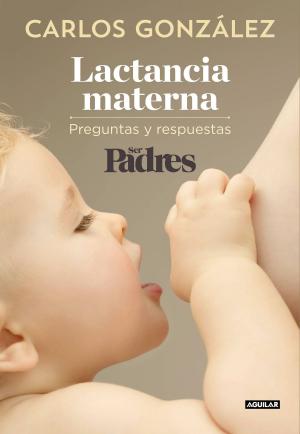 Cover of the book Lactancia materna by Alberto Vázquez-Figueroa