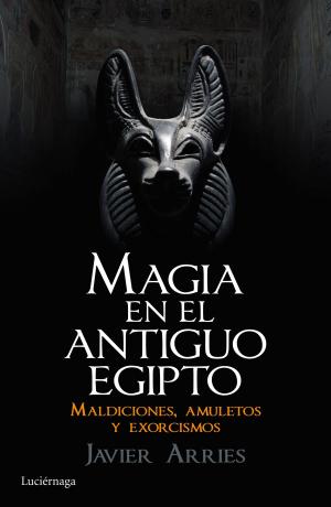 Cover of the book Magia en el Antiguo Egipto by David Hernando