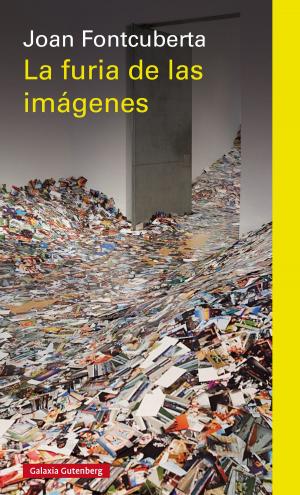 Cover of the book La furia de las imágenes by Tzvetan Todorov