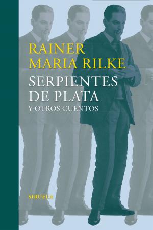 Cover of the book Serpientes de plata y otros cuentos by David Stabler
