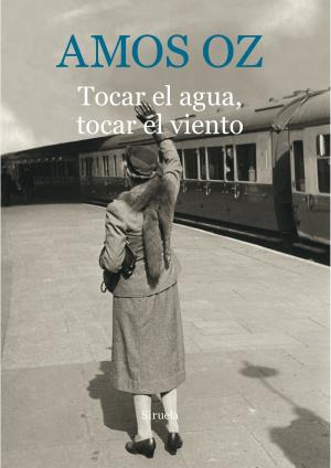 Cover of the book Tocar el agua, tocar el viento by Claire Thompson