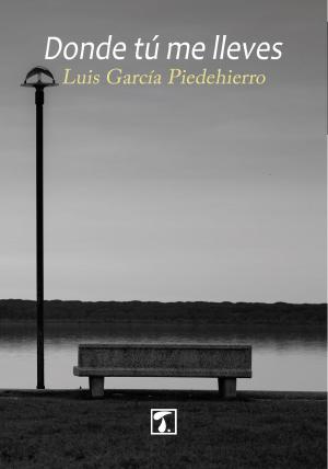 Cover of the book Donde tú me lleves by Michelle de Villiers