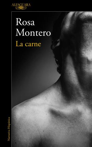 Cover of the book La carne by Jordi Lafebre, Moni Pérez