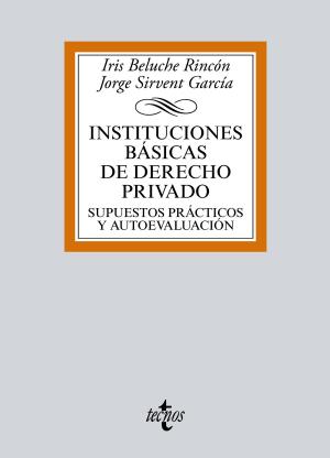 Cover of the book Instituciones básicas de Derecho Privado by José Manuel Ruiz-Rico Ruiz, Yolanda de Lucchi López-Tapia