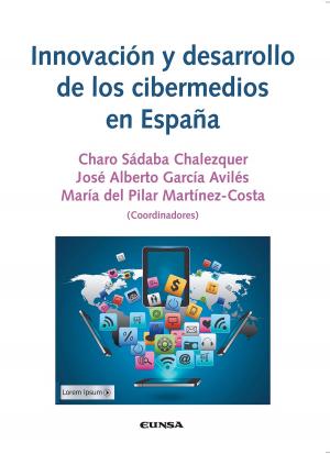 Cover of Innovación y desarrollo de los cibermedios en España