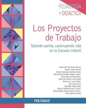 Book cover of Los Proyectos de Trabajo