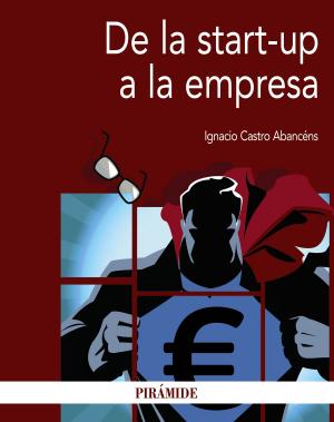 Cover of the book De la start-up a la empresa by Juan Mata Anaya, María Pilar Núñez Delgado, José Rienda Polo