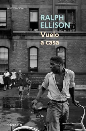 Cover of the book Vuelo a casa by David Seijas