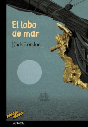 Cover of the book El lobo de mar by Anton Marks